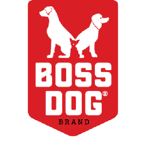 Boss Dog